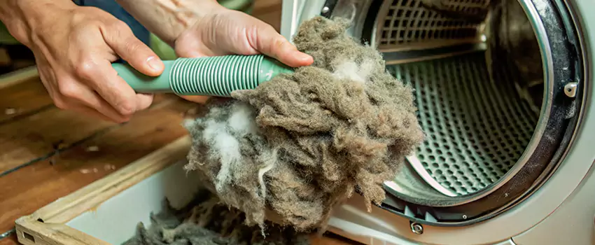 Best Dryer Lint Removal Company in Levis, Quebec