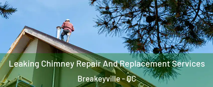  Leaking Chimney Repair And Replacement Services Breakeyville - QC
