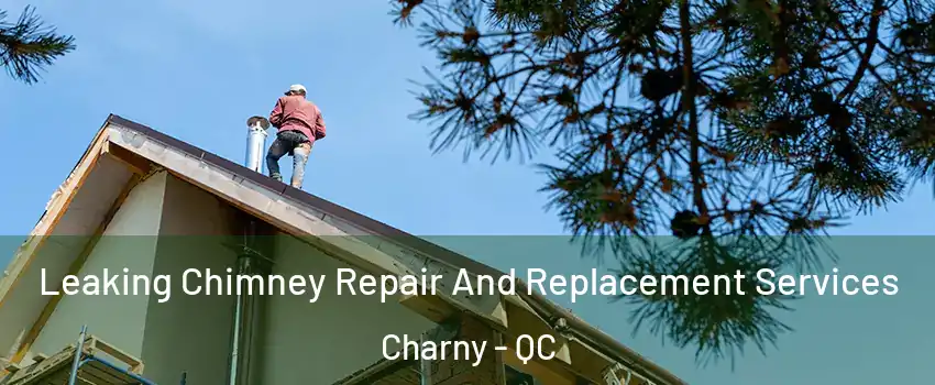 Leaking Chimney Repair And Replacement Services Charny - QC