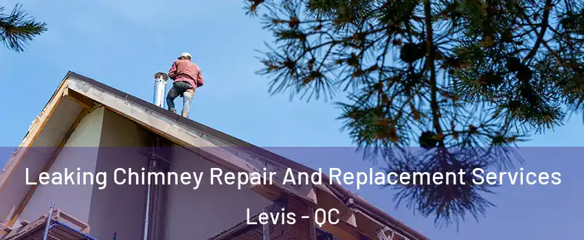 Leaking Chimney Repair And Replacement Services Levis - QC
