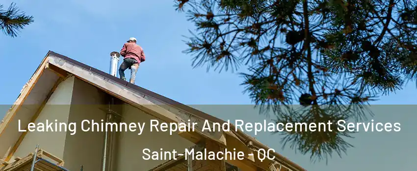 Leaking Chimney Repair And Replacement Services Saint-Malachie - QC
