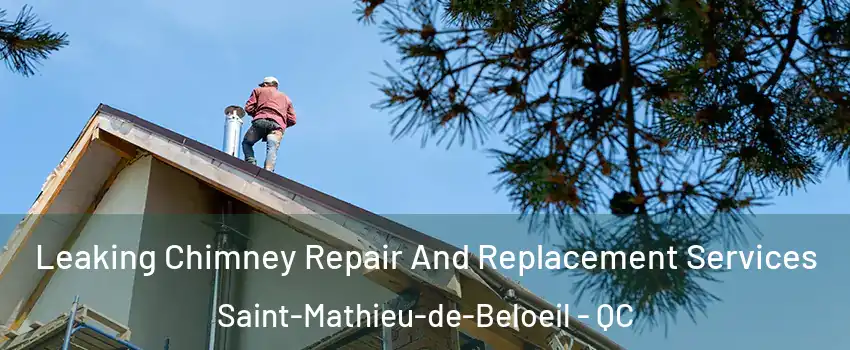 Leaking Chimney Repair And Replacement Services Saint-Mathieu-de-Beloeil - QC