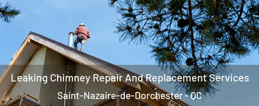 Leaking Chimney Repair And Replacement Services Saint-Nazaire-de-Dorchester - QC