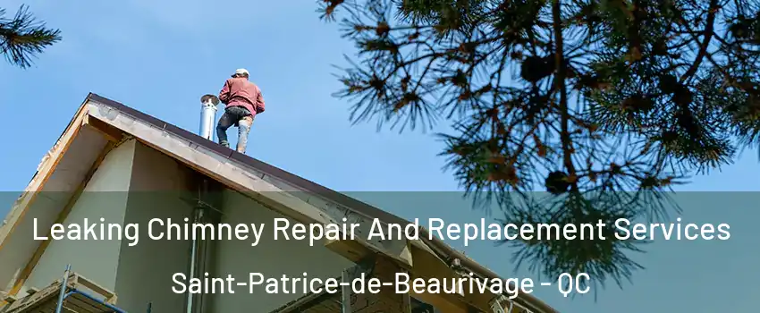  Leaking Chimney Repair And Replacement Services Saint-Patrice-de-Beaurivage - QC