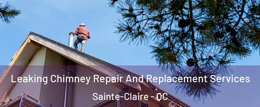 Leaking Chimney Repair And Replacement Services Sainte-Claire - QC