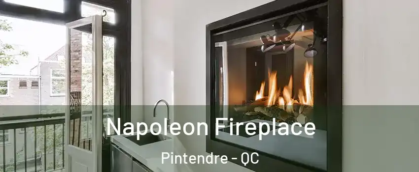  Napoleon Fireplace Pintendre - QC