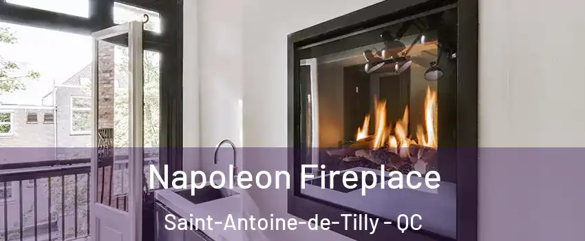 Napoleon Fireplace Saint-Antoine-de-Tilly - QC