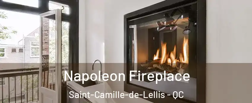  Napoleon Fireplace Saint-Camille-de-Lellis - QC
