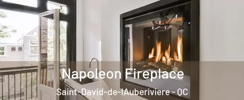 Napoleon Fireplace Saint-David-de-lAuberiviere - QC