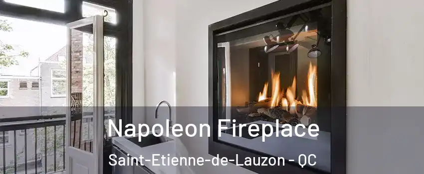 Napoleon Fireplace Saint-Etienne-de-Lauzon - QC