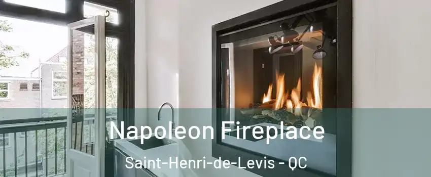 Napoleon Fireplace Saint-Henri-de-Levis - QC