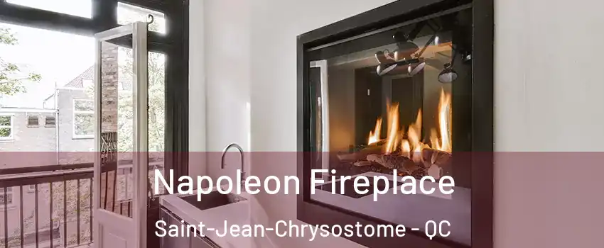 Napoleon Fireplace Saint-Jean-Chrysostome - QC