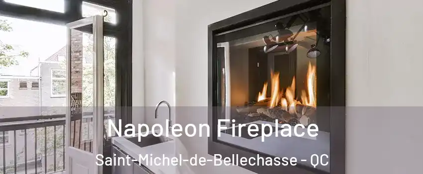 Napoleon Fireplace Saint-Michel-de-Bellechasse - QC