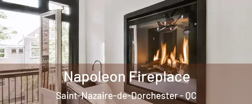  Napoleon Fireplace Saint-Nazaire-de-Dorchester - QC