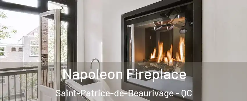 Napoleon Fireplace Saint-Patrice-de-Beaurivage - QC