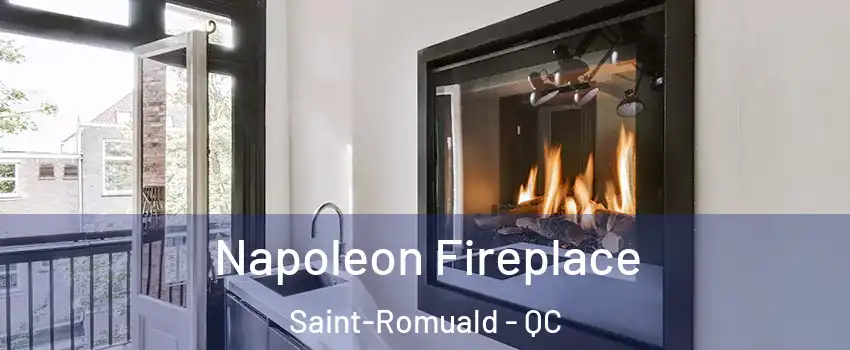 Napoleon Fireplace Saint-Romuald - QC
