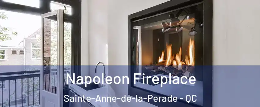Napoleon Fireplace Sainte-Anne-de-la-Perade - QC