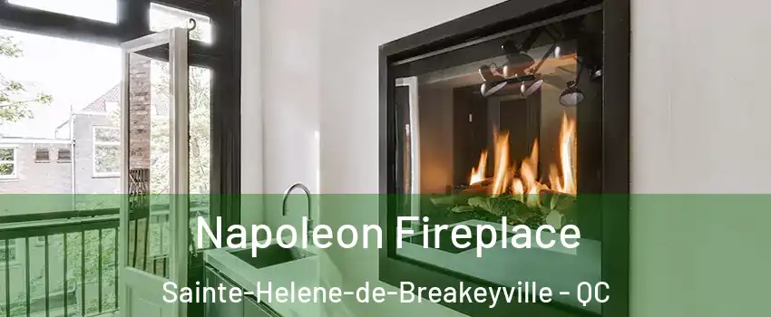 Napoleon Fireplace Sainte-Helene-de-Breakeyville - QC