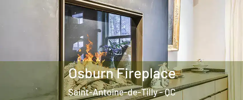 Osburn Fireplace Saint-Antoine-de-Tilly - QC