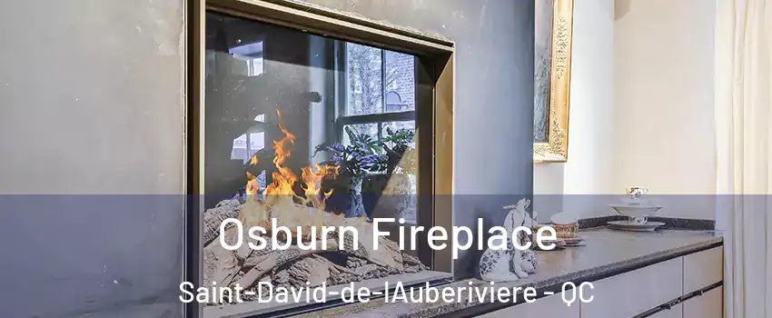 Osburn Fireplace Saint-David-de-lAuberiviere - QC