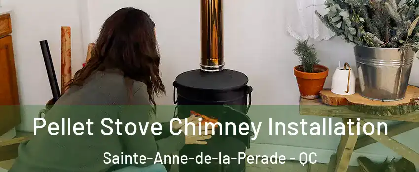 Pellet Stove Chimney Installation Sainte-Anne-de-la-Perade - QC