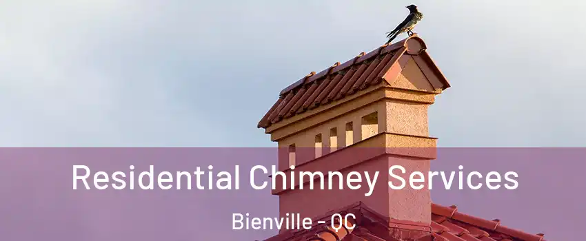 Residential Chimney Services Bienville - QC