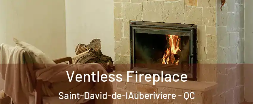  Ventless Fireplace Saint-David-de-lAuberiviere - QC