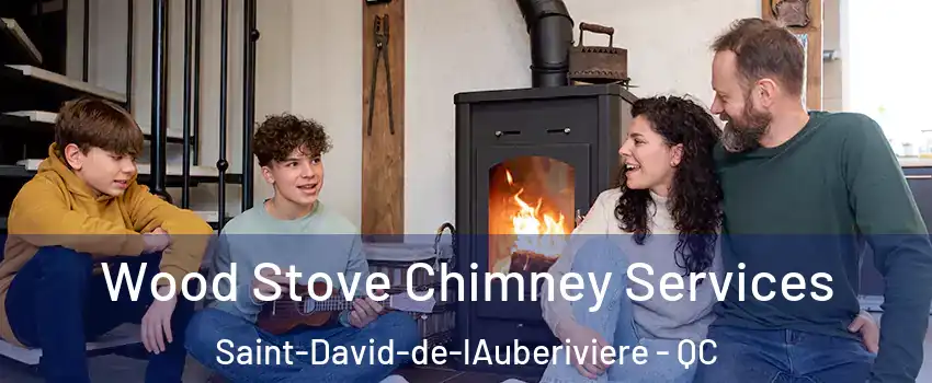 Wood Stove Chimney Services Saint-David-de-lAuberiviere - QC