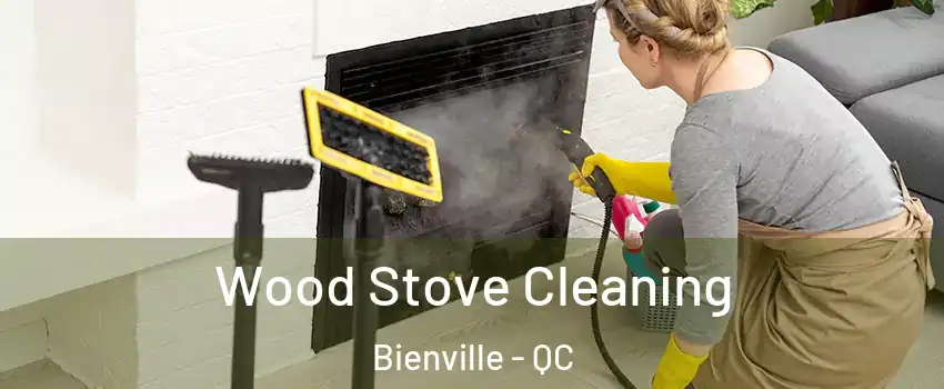 Wood Stove Cleaning Bienville - QC