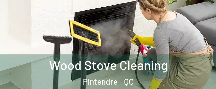  Wood Stove Cleaning Pintendre - QC