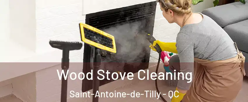 Wood Stove Cleaning Saint-Antoine-de-Tilly - QC