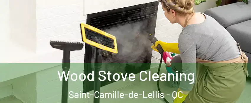 Wood Stove Cleaning Saint-Camille-de-Lellis - QC
