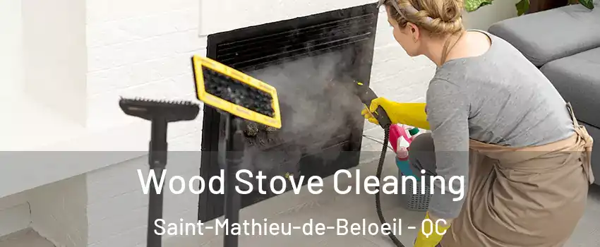 Wood Stove Cleaning Saint-Mathieu-de-Beloeil - QC