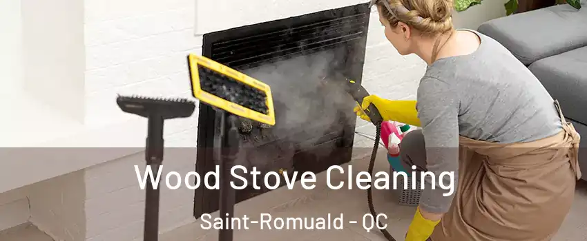 Wood Stove Cleaning Saint-Romuald - QC
