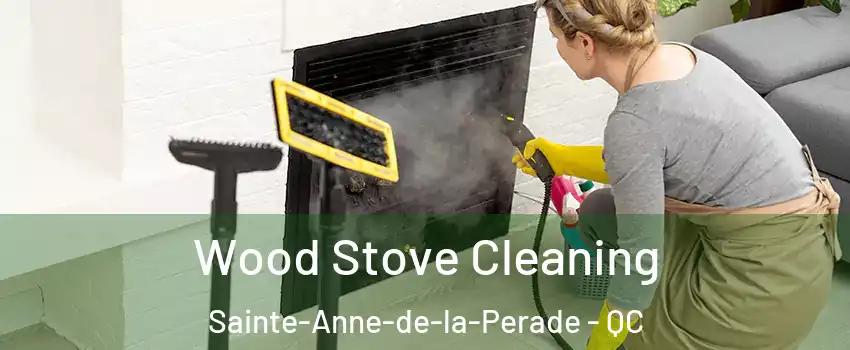 Wood Stove Cleaning Sainte-Anne-de-la-Perade - QC