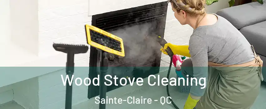 Wood Stove Cleaning Sainte-Claire - QC