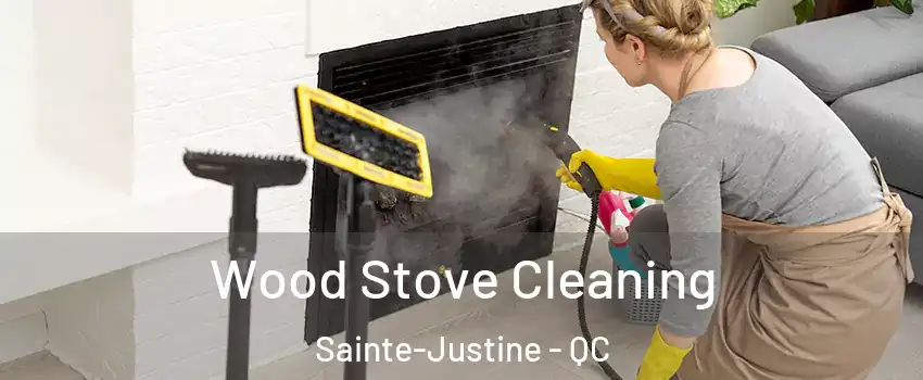 Wood Stove Cleaning Sainte-Justine - QC