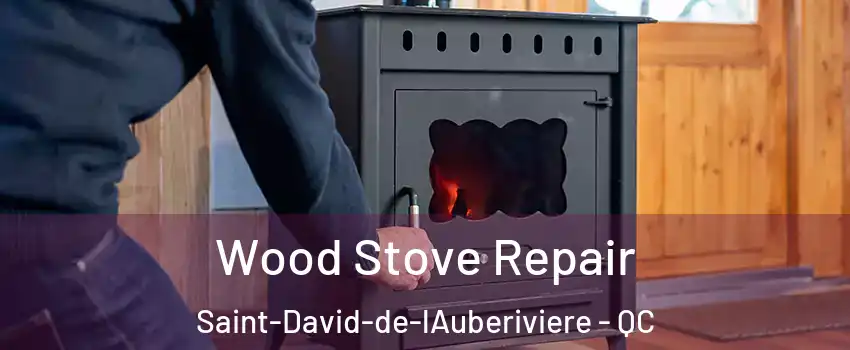 Wood Stove Repair Saint-David-de-lAuberiviere - QC